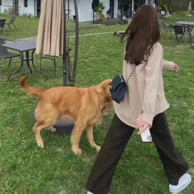 暗影王者