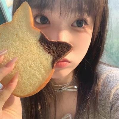 搜索者